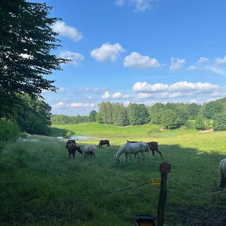 Biale Domki Bytów Buitenkant foto